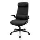 Cougar Chair Stryder  3MSTDBLB.0001