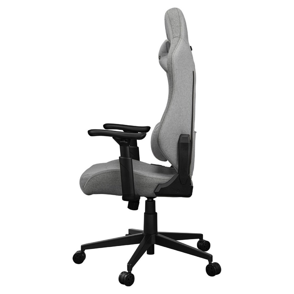 Cougar chair EXPLORE Royal Ash F