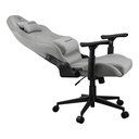 Cougar chair EXPLORE Royal Ash F