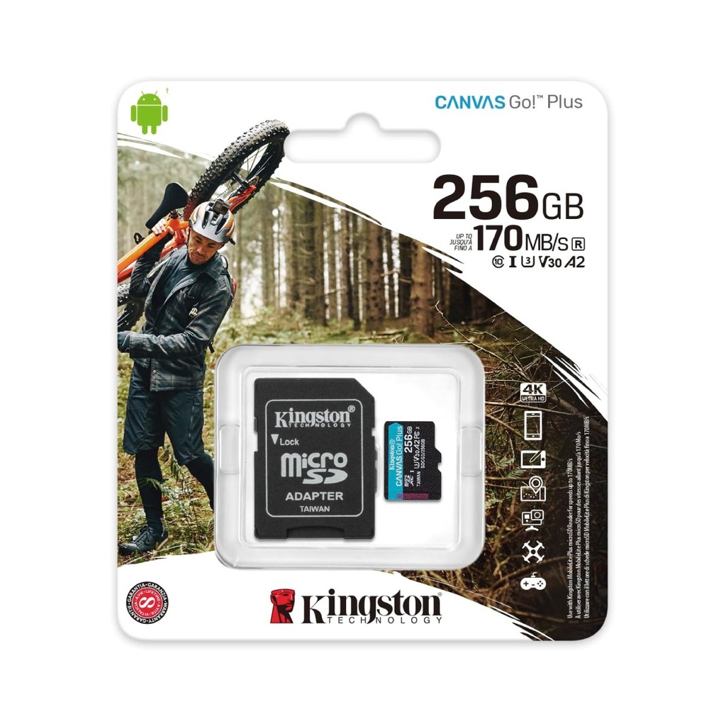 SDCG3/256GB microSDXC Canvas Go Plus 170R A2 U3 V30 Card