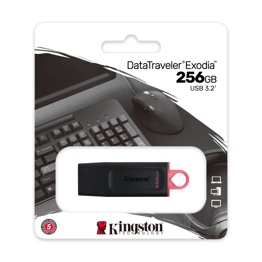 Pendrive 256GB Kingston DTX/256GB USB 3.2 