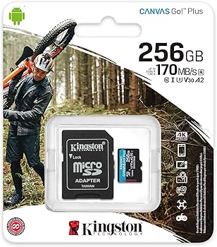 [SDCG3/256GB] SDCG3/256GB microSDXC Canvas Go Plus 170R A2 U3 V30 Card